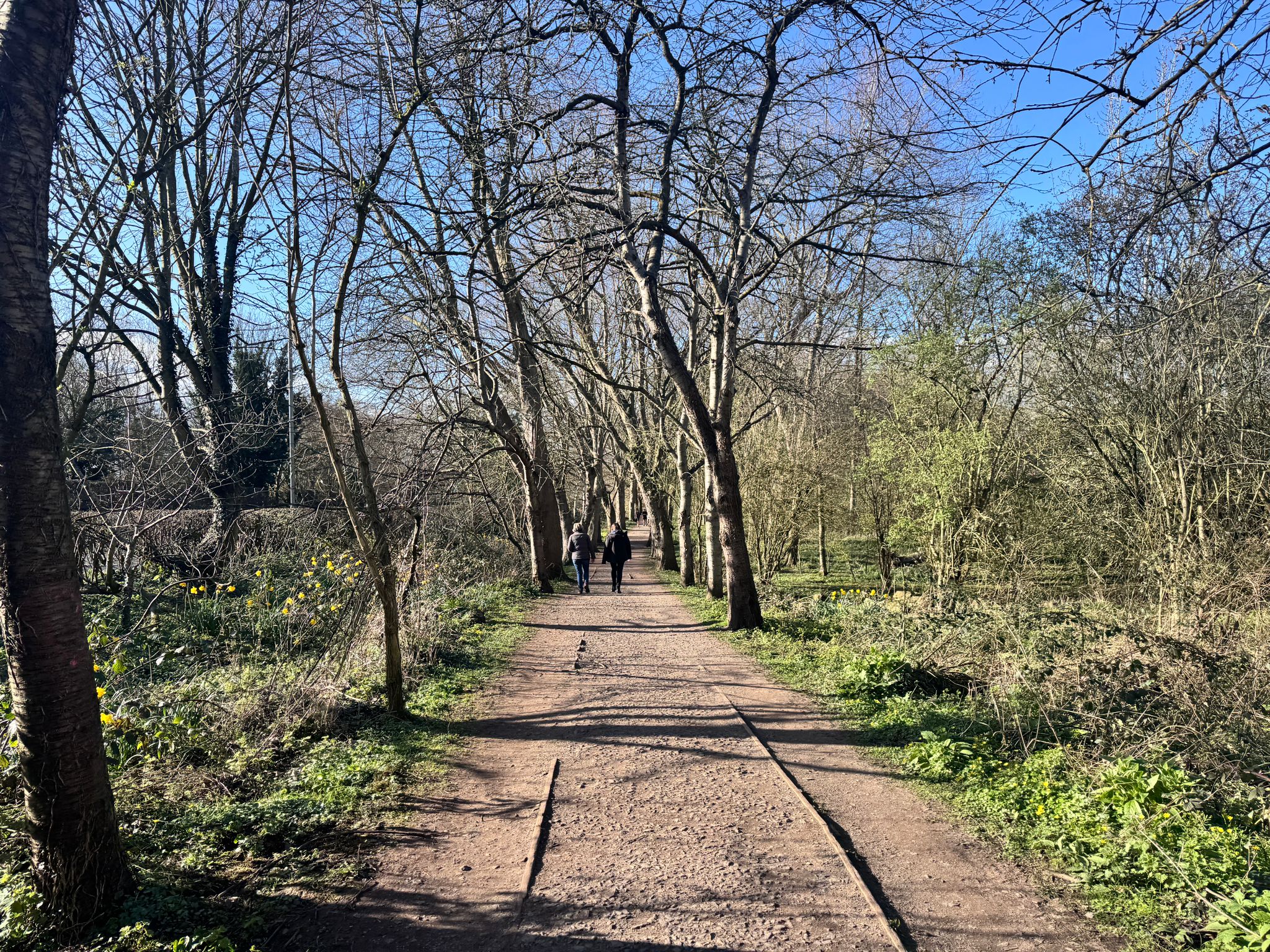 Step Into Spring: Join Our Monthly Wellness Walk